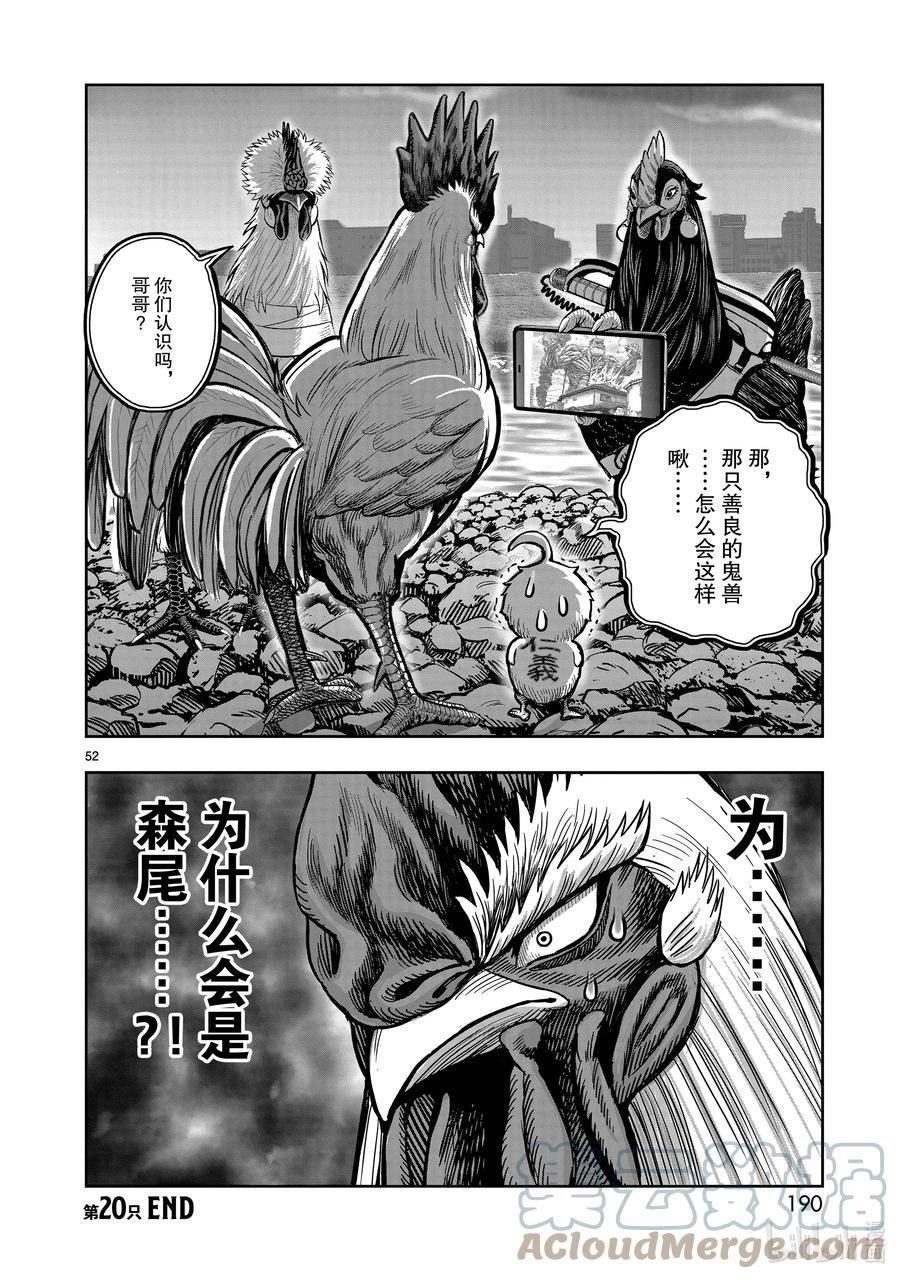 鸡斗士漫画,第20只 鸡皮鹤发52图