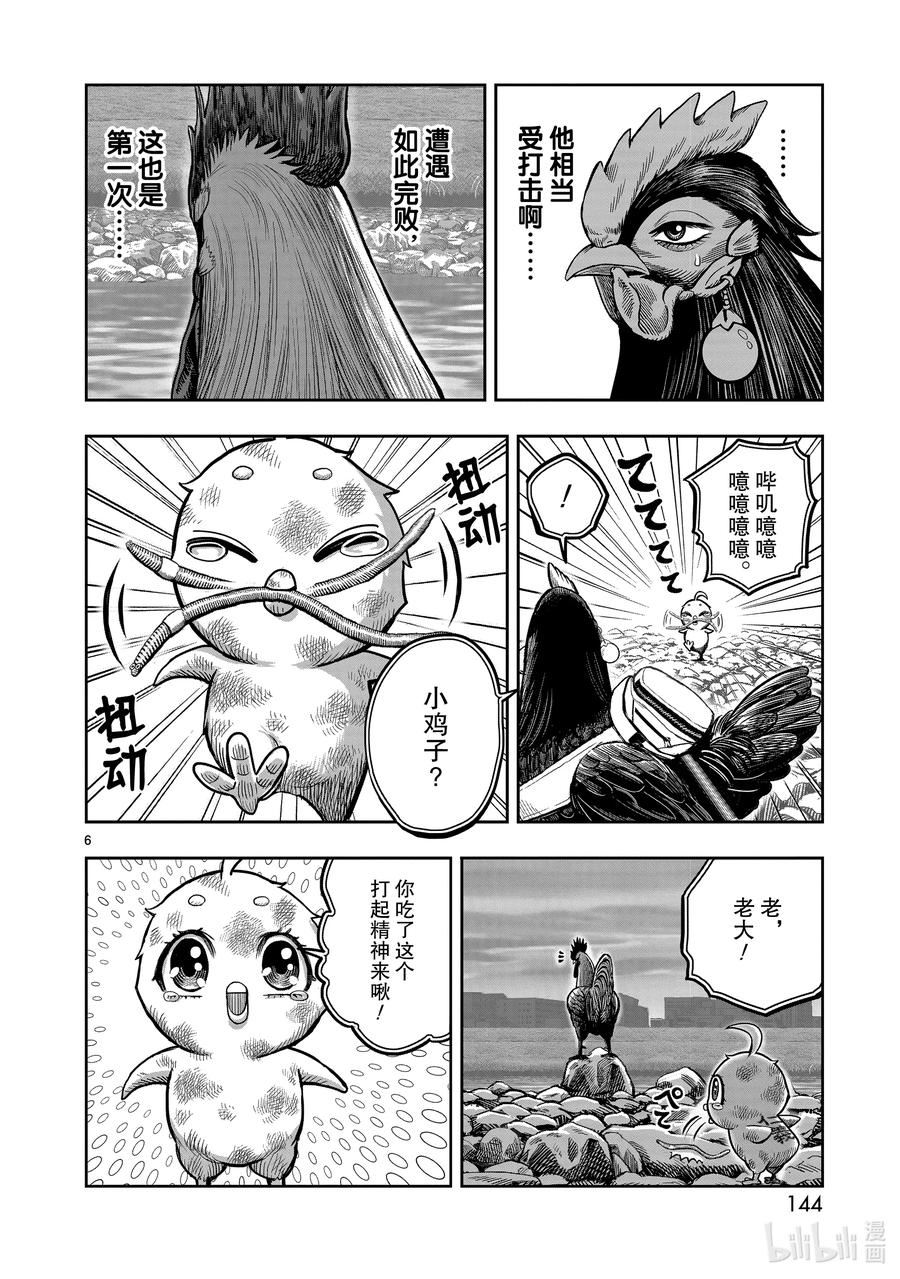 鸡斗士漫画,第20只 鸡皮鹤发6图