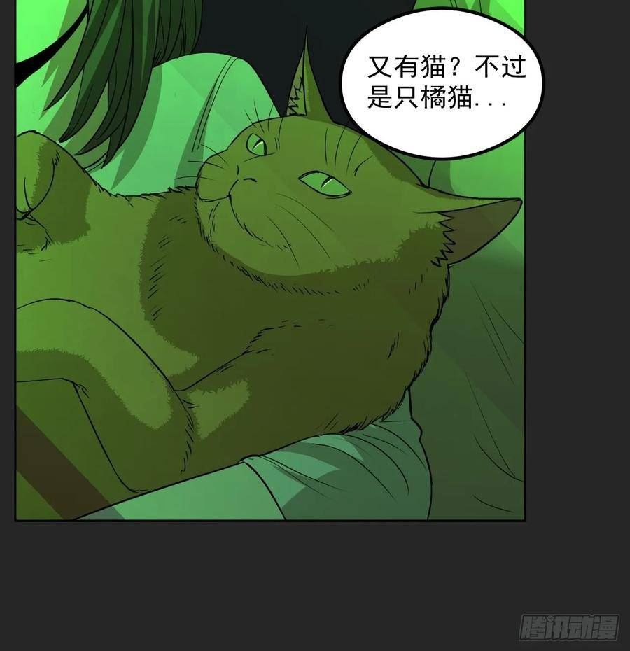 请勿拆封漫画,第30单：九命猫 0624图