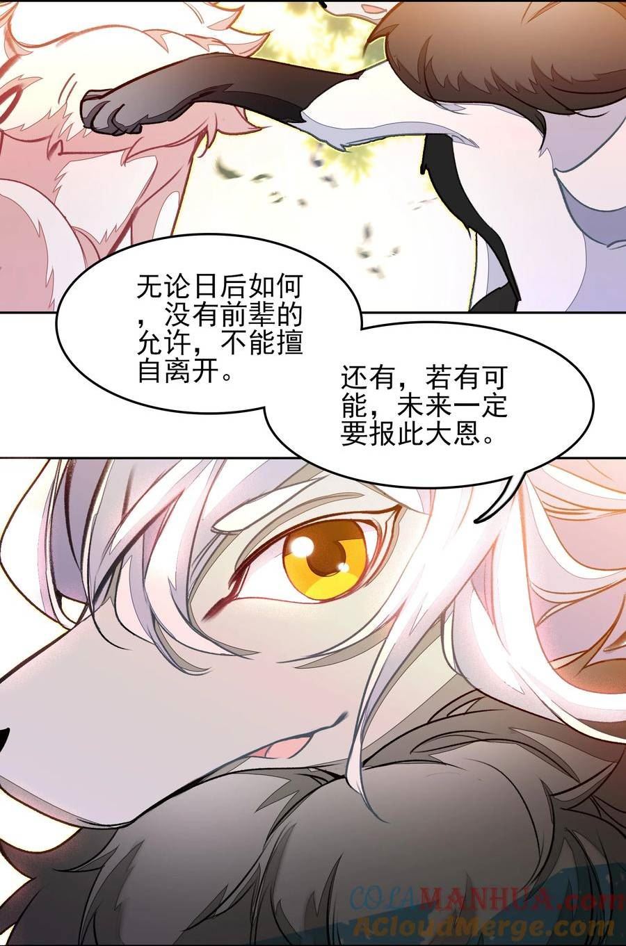 我竟是绝世高手原声版漫画,027 动物人类的挚友!嘶溜~49图