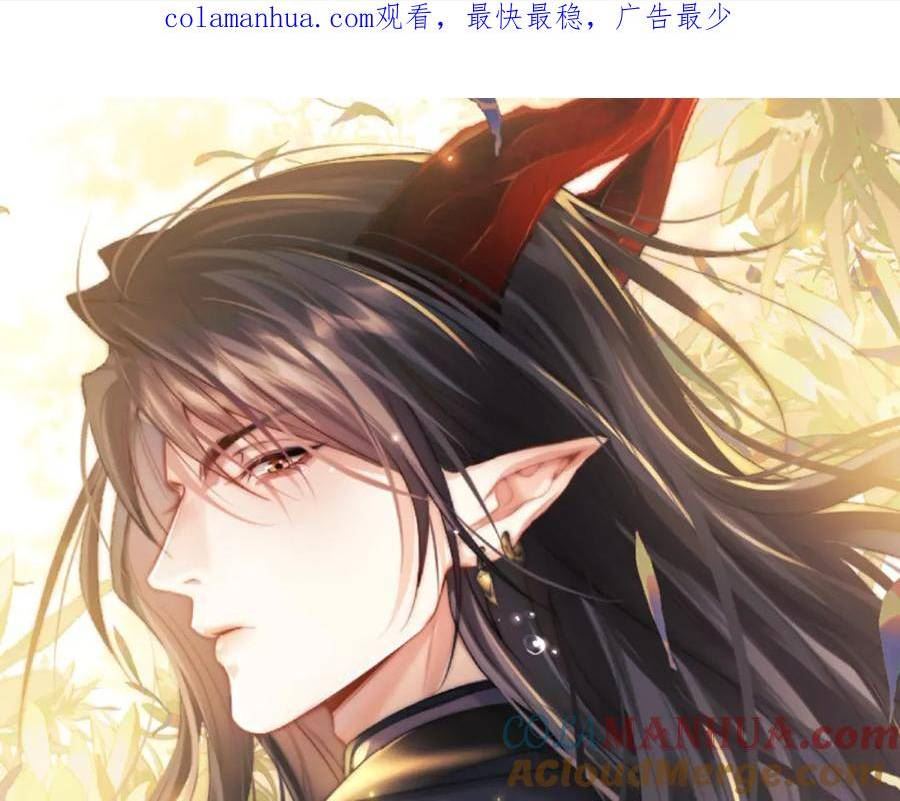 魔尊他悔不当初漫画,第38话 魔尊为浅浅变猫1图