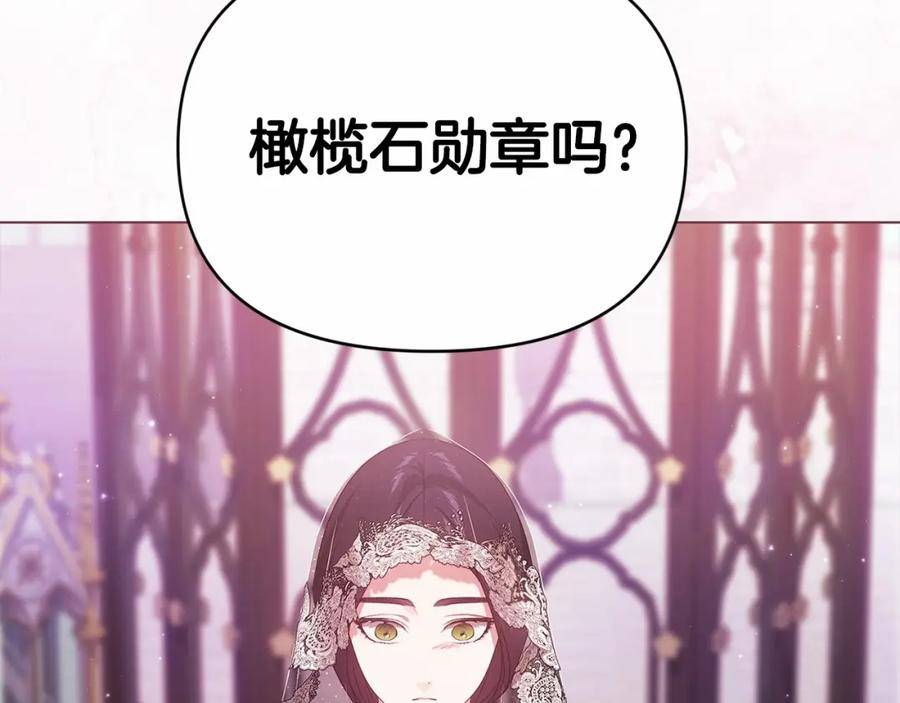 这个婚反正也要完蛋漫画解说漫画,第34话 胸针的秘密66图