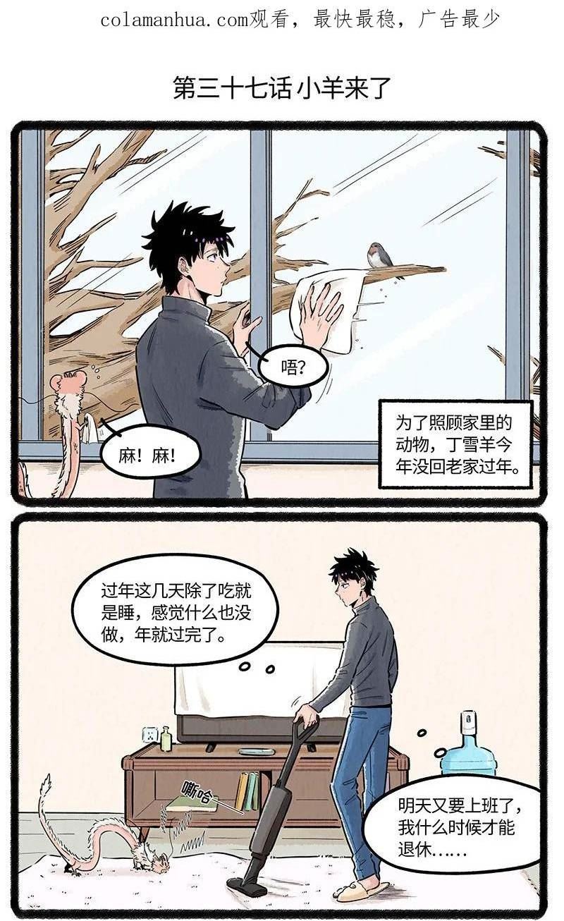 薛定谔之羊漫画,037 小羊来了2图