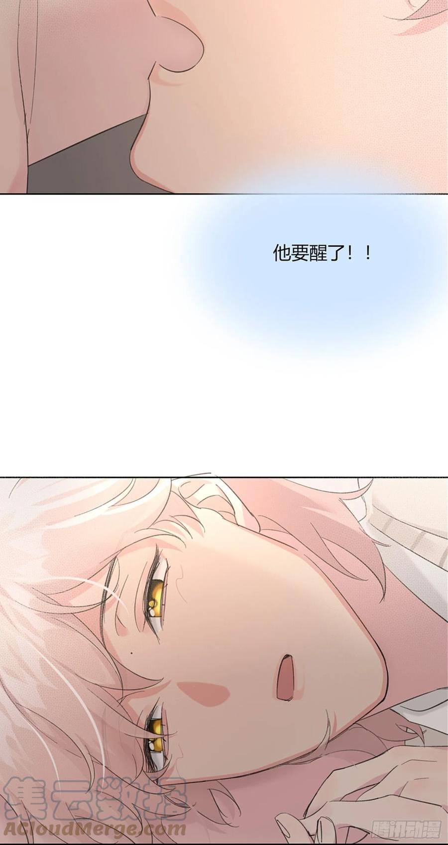 穿成炮灰后我只想离婚漫画,第11话 如何正确当狗13图