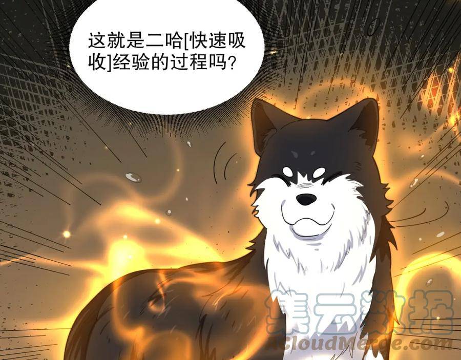 我来自虚空漫画小说原著漫画,第40话 击败风雷隼37图