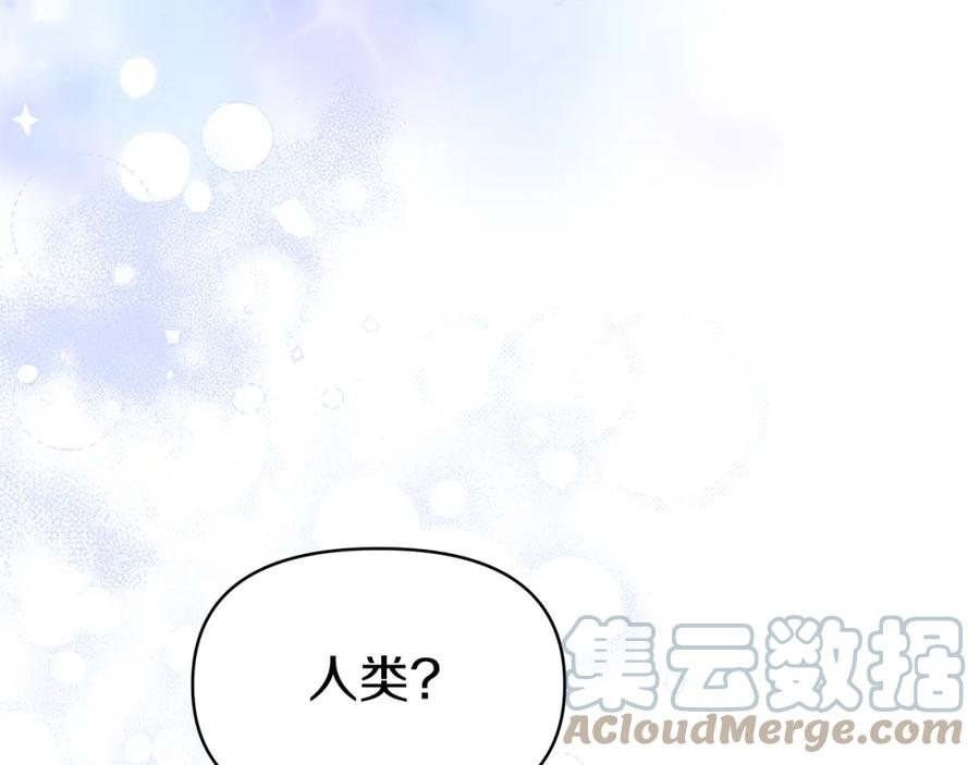 傲娇厨娘的甜品店漫画,第38话 学习礼仪？61图