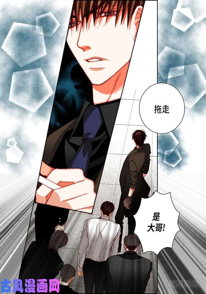 完美无缺的虏获漫画,第84话 受伤了么16图