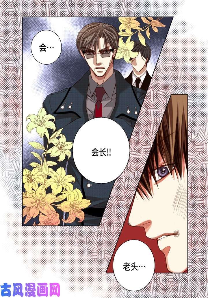 完美无缺的虏获漫画,第113话 该如何处置你22图