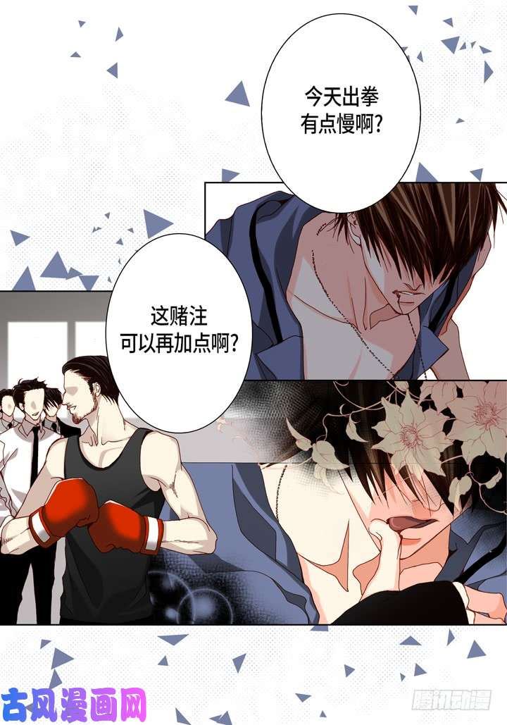 完美无缺的虏获漫画,第47话 都是有理由的4图