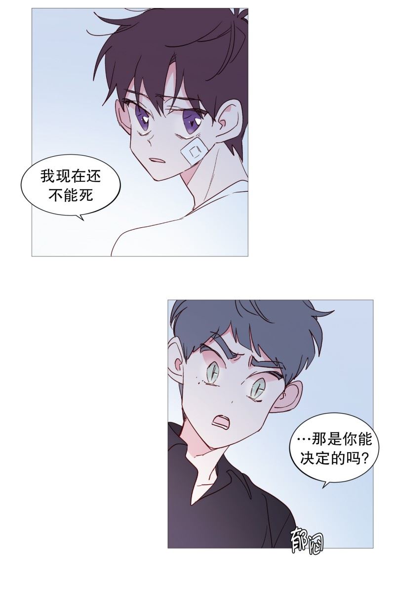 动物灵魂管理局漫画,105.噪音16图