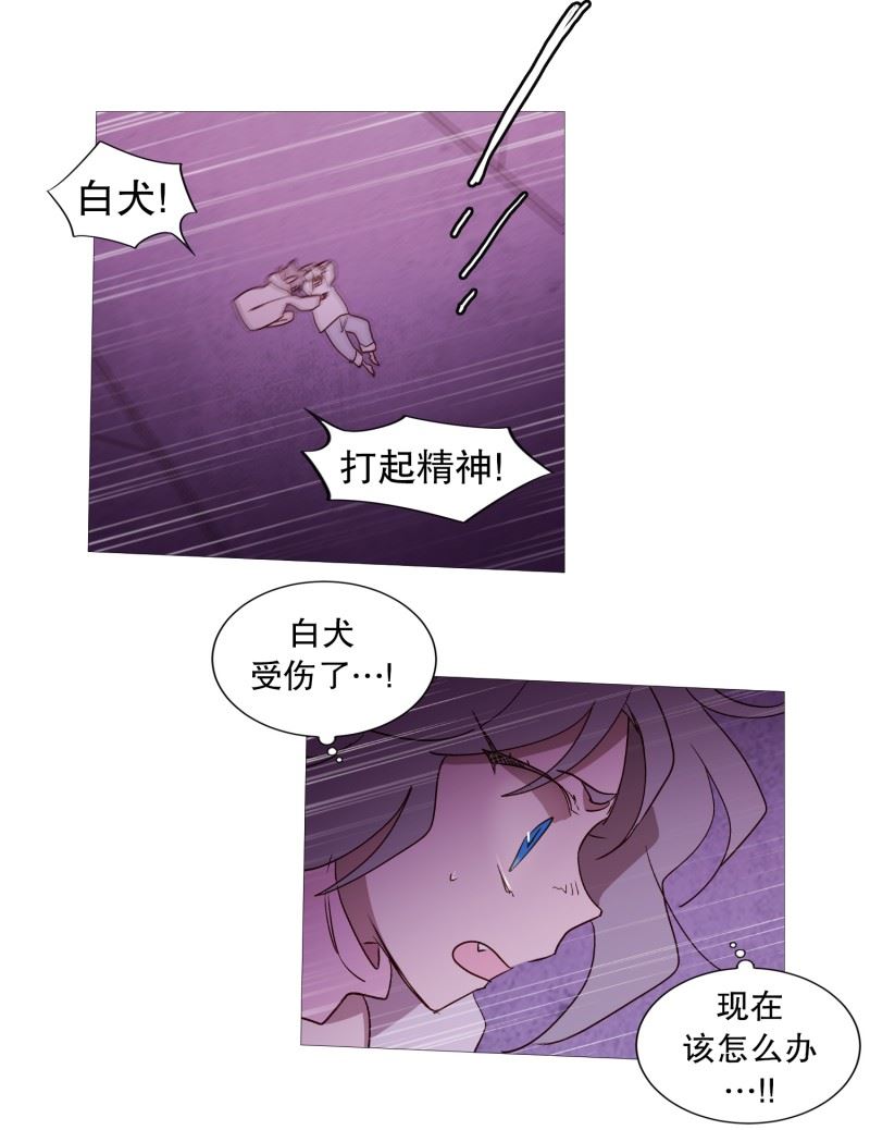 动物灵魂管理局漫画,105.噪音5图