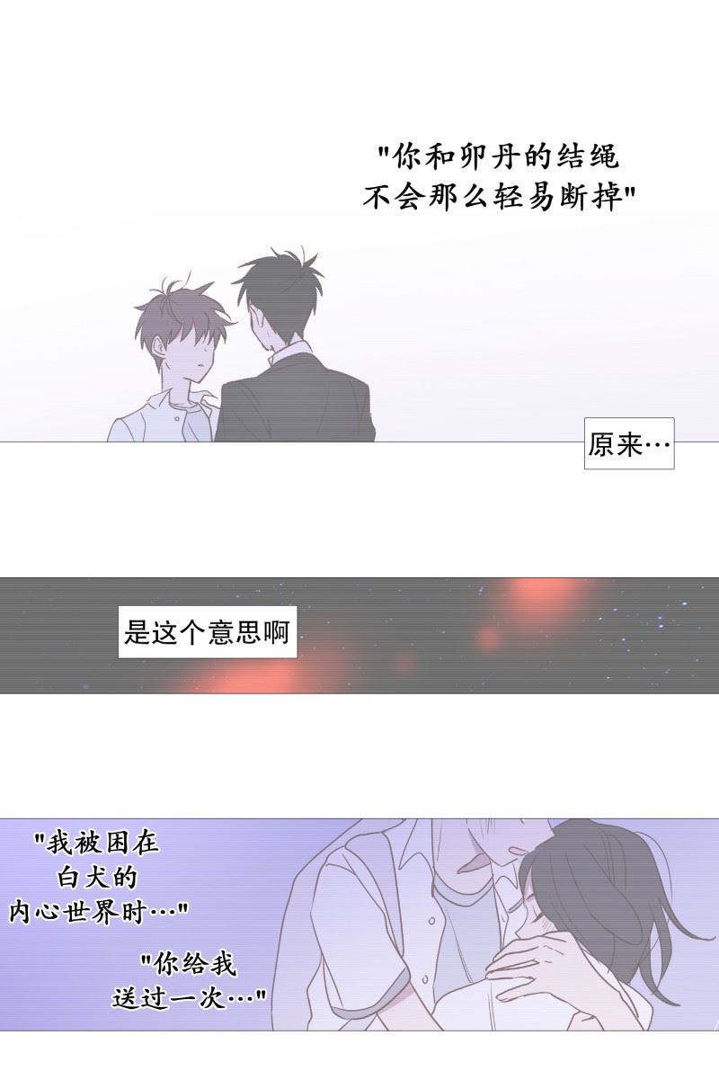 动物灵魂管理局漫画,109.肩膀1图