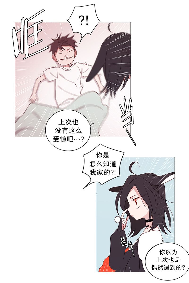 动物灵魂管理局漫画,11小心点18图