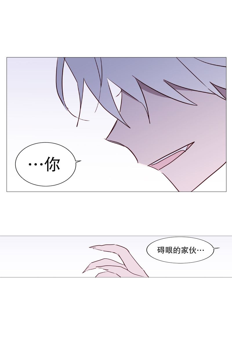 动物灵魂管理局漫画,11小心点2图