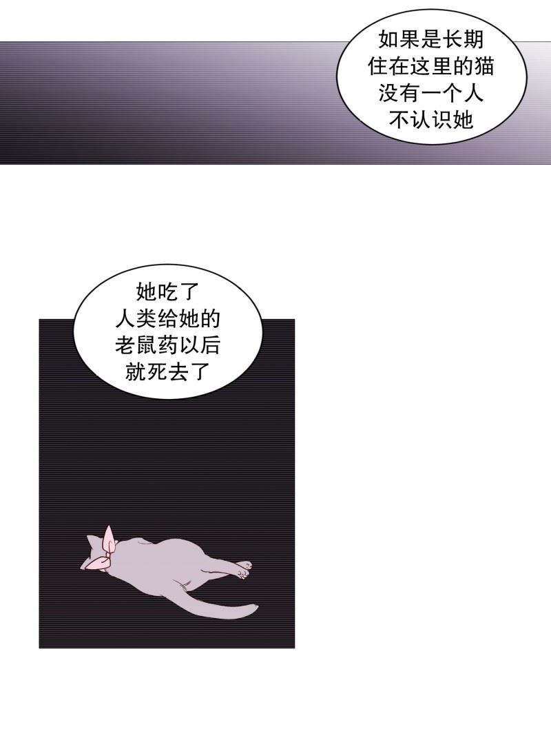 动物灵魂管理局漫画,116.公园13图