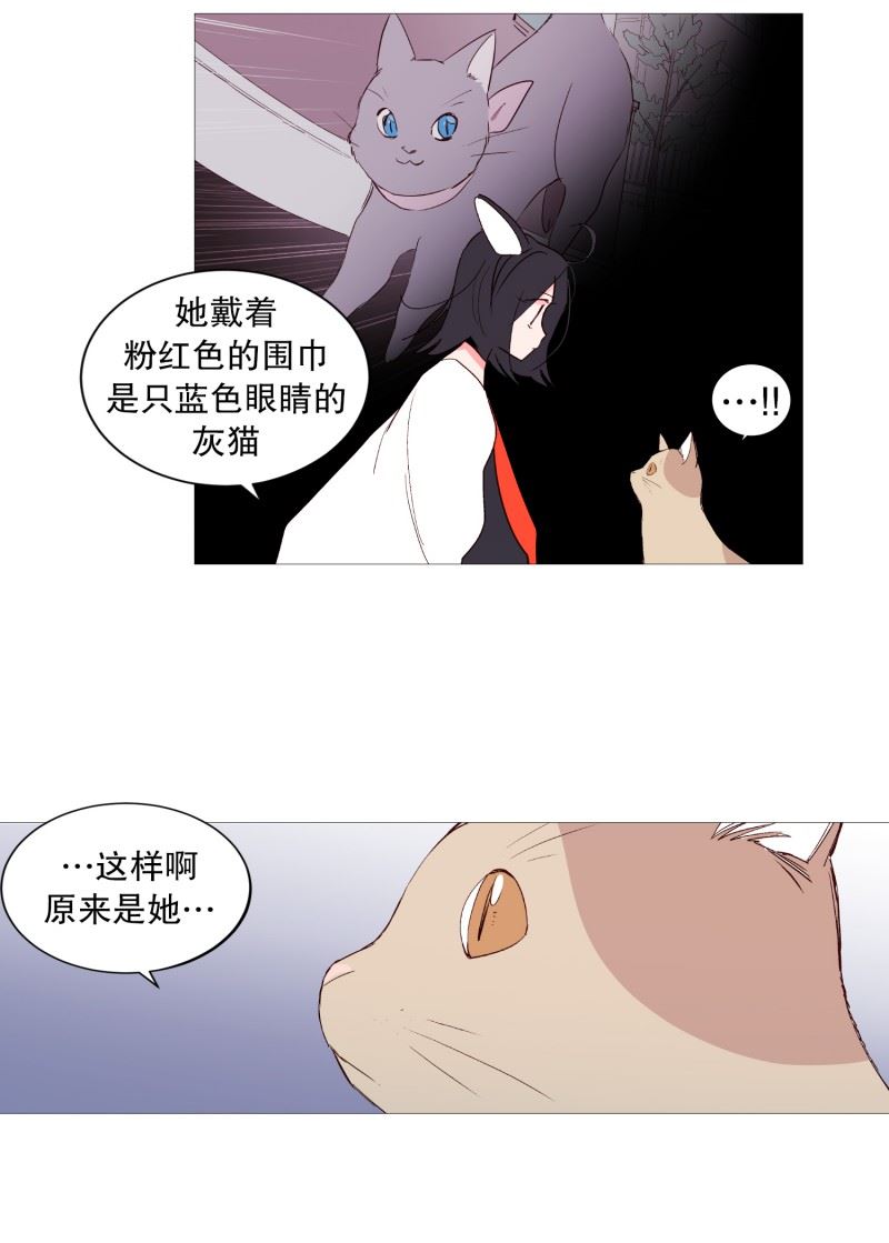 动物灵魂管理局漫画,116.公园12图