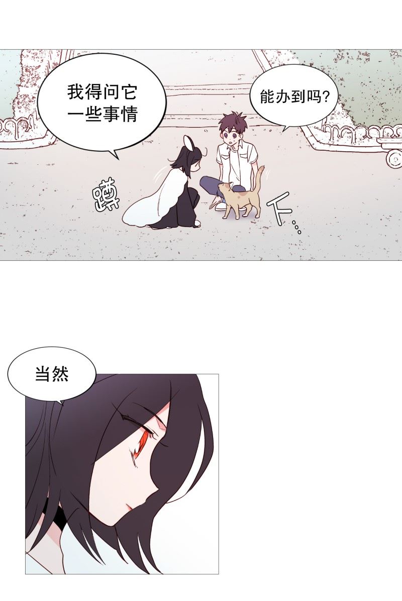 动物灵魂管理局漫画,116.公园8图