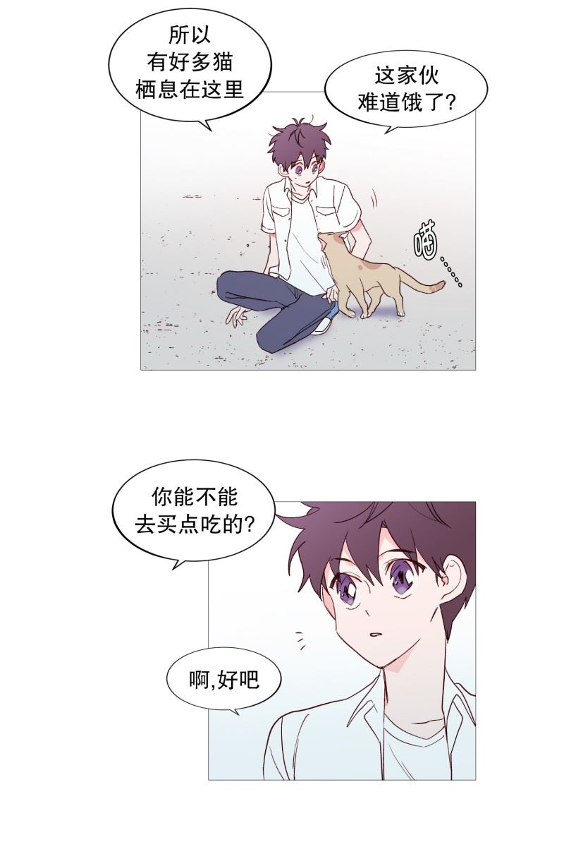 动物灵魂管理局漫画,116.公园7图