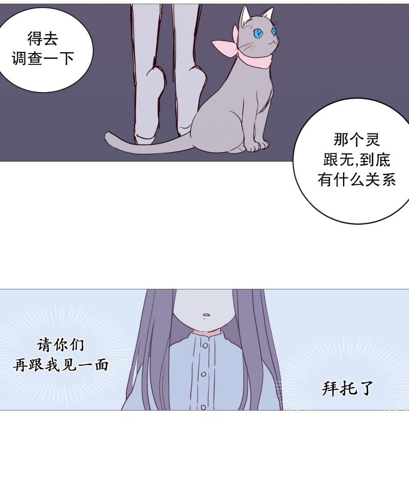 动物灵魂管理局漫画,119.背后灵19图