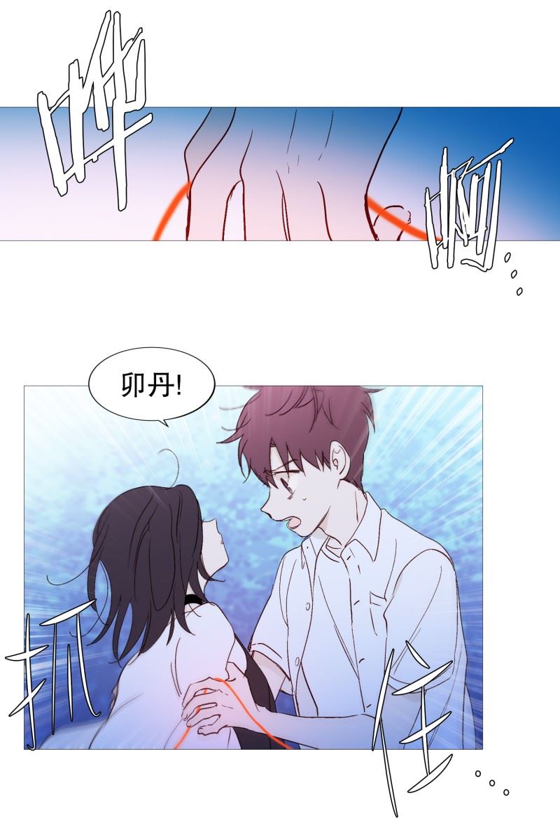 动物灵魂管理局漫画,122.重逢10图