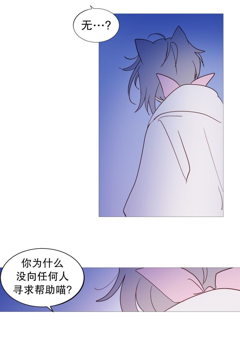 动物灵魂管理局漫画,122.重逢3图