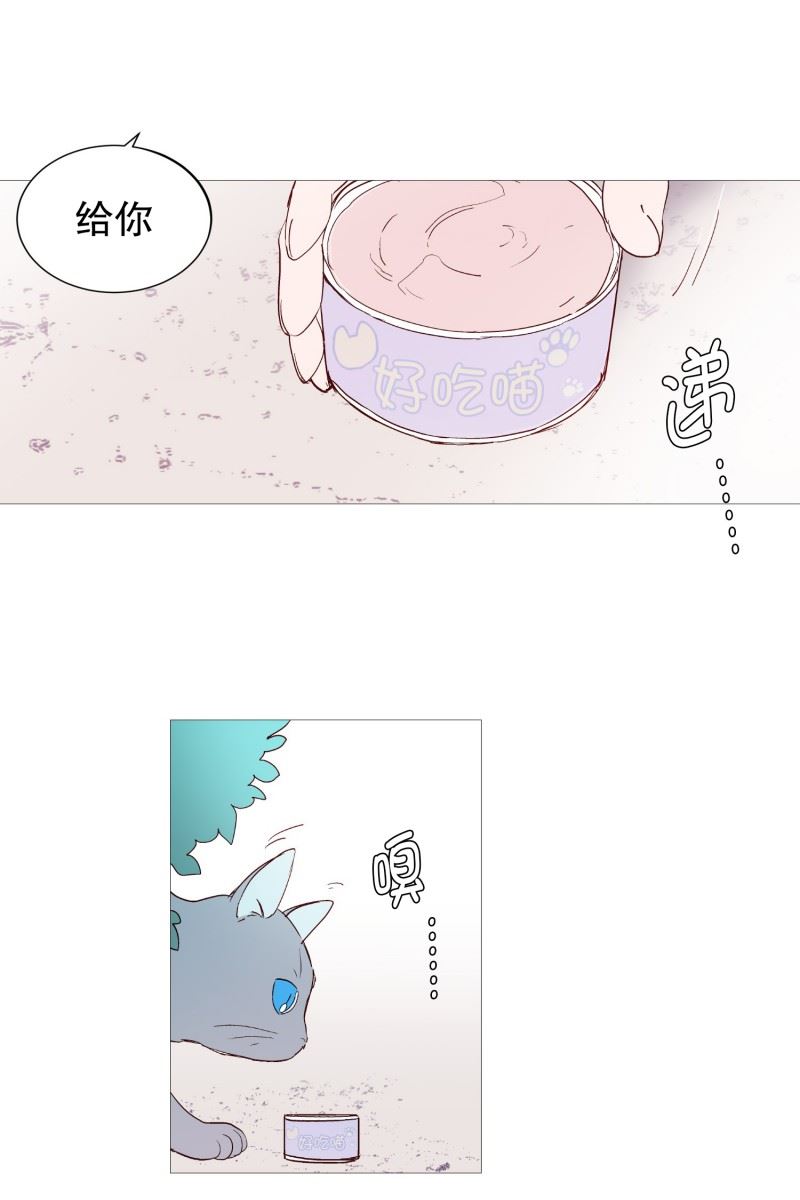 动物管理局的简介漫画,127.握住我的手13图