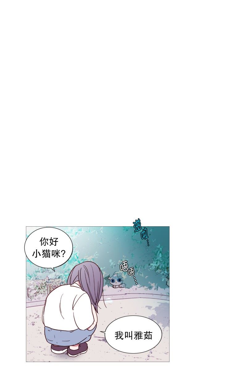 动物管理局的简介漫画,127.握住我的手9图