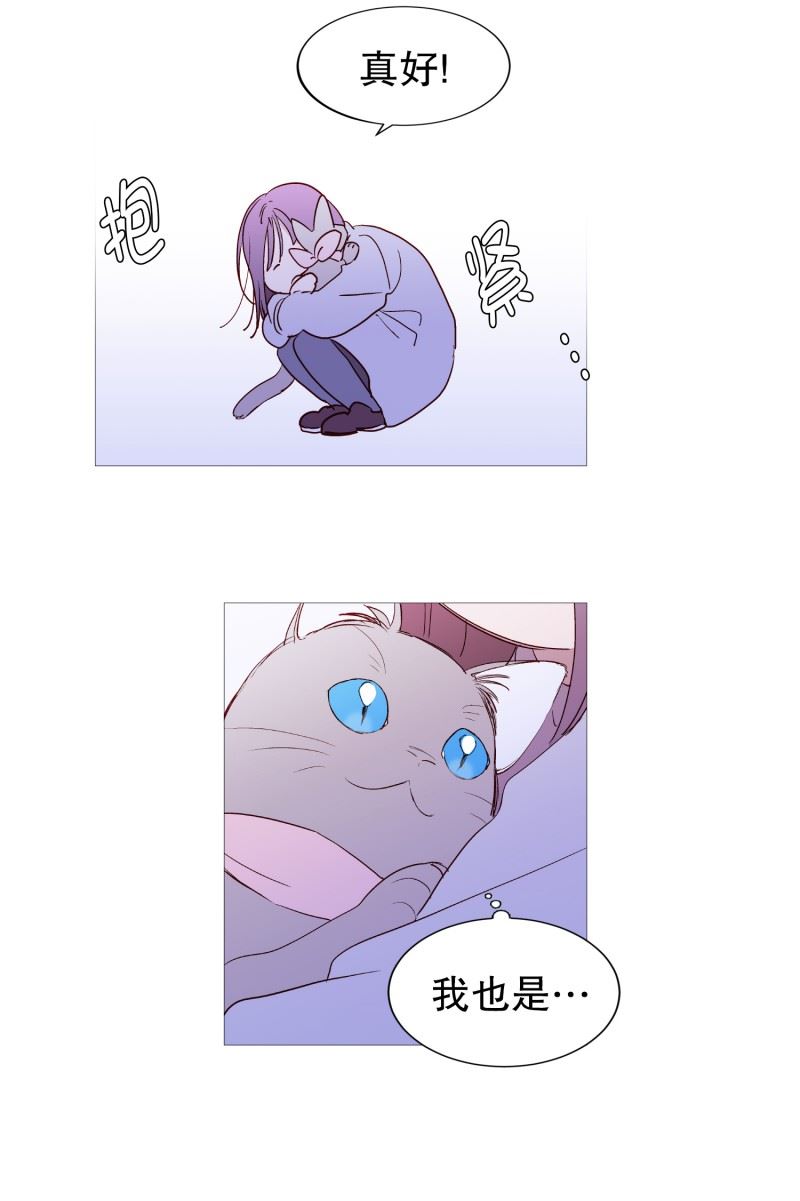 动物灵魂管理局漫画,128.天凉了16图