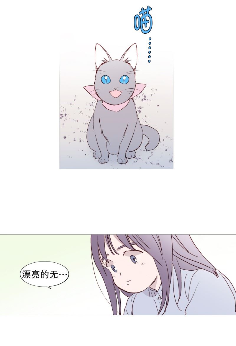 动物灵魂管理局漫画,128.天凉了15图