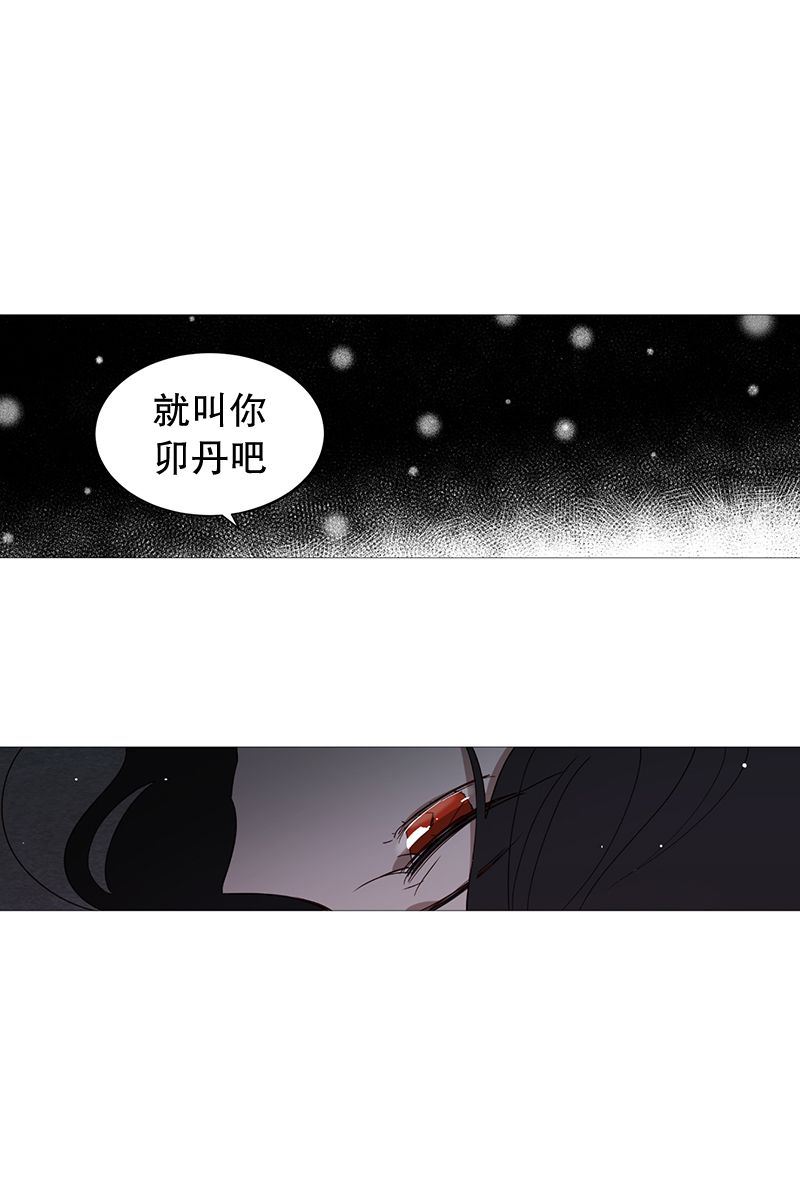 动物灵魂管理局漫画,19梦16图