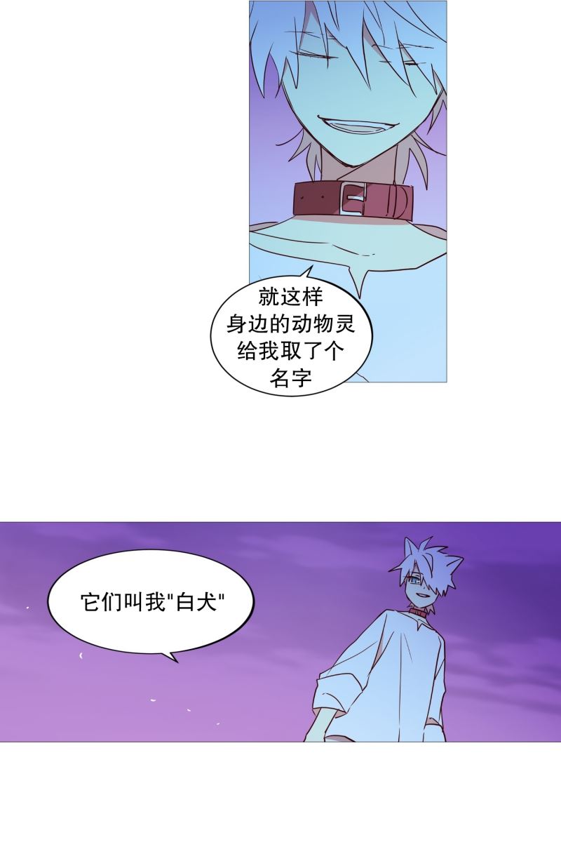 动物灵魂管理局漫画,26我的名字12图