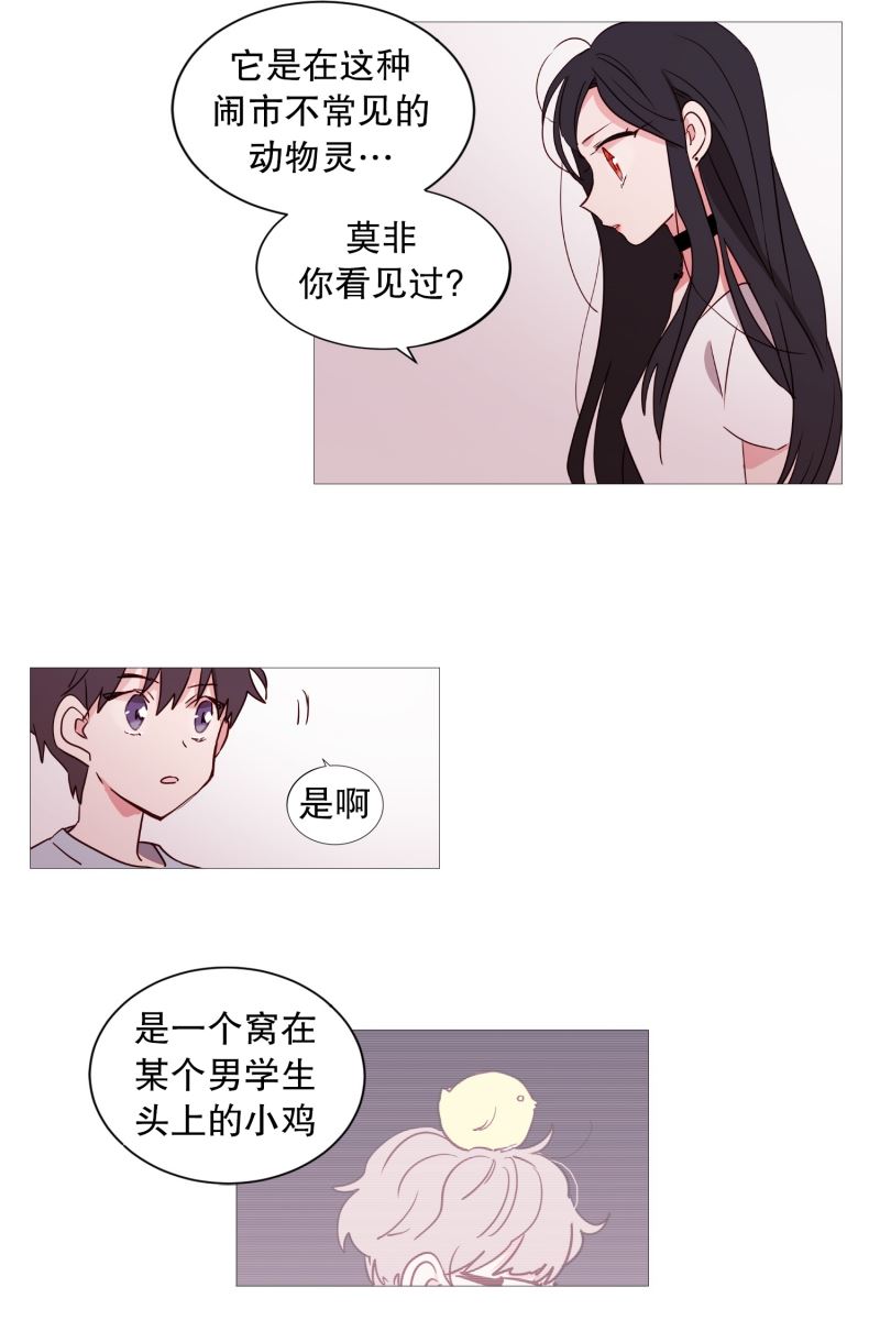 动物灵魂管理局漫画,32要紧的事13图