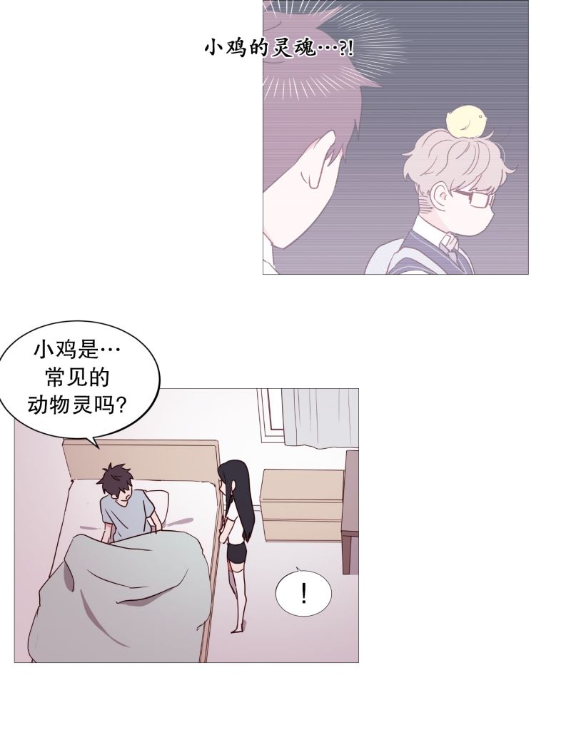 动物灵魂管理局漫画,32要紧的事12图