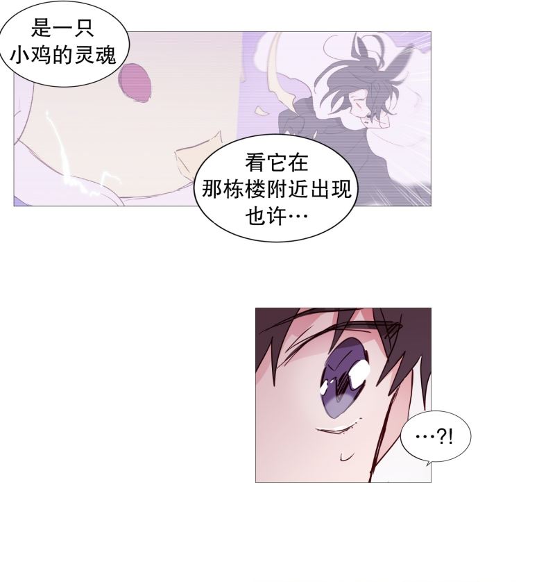 动物灵魂管理局漫画,32要紧的事11图