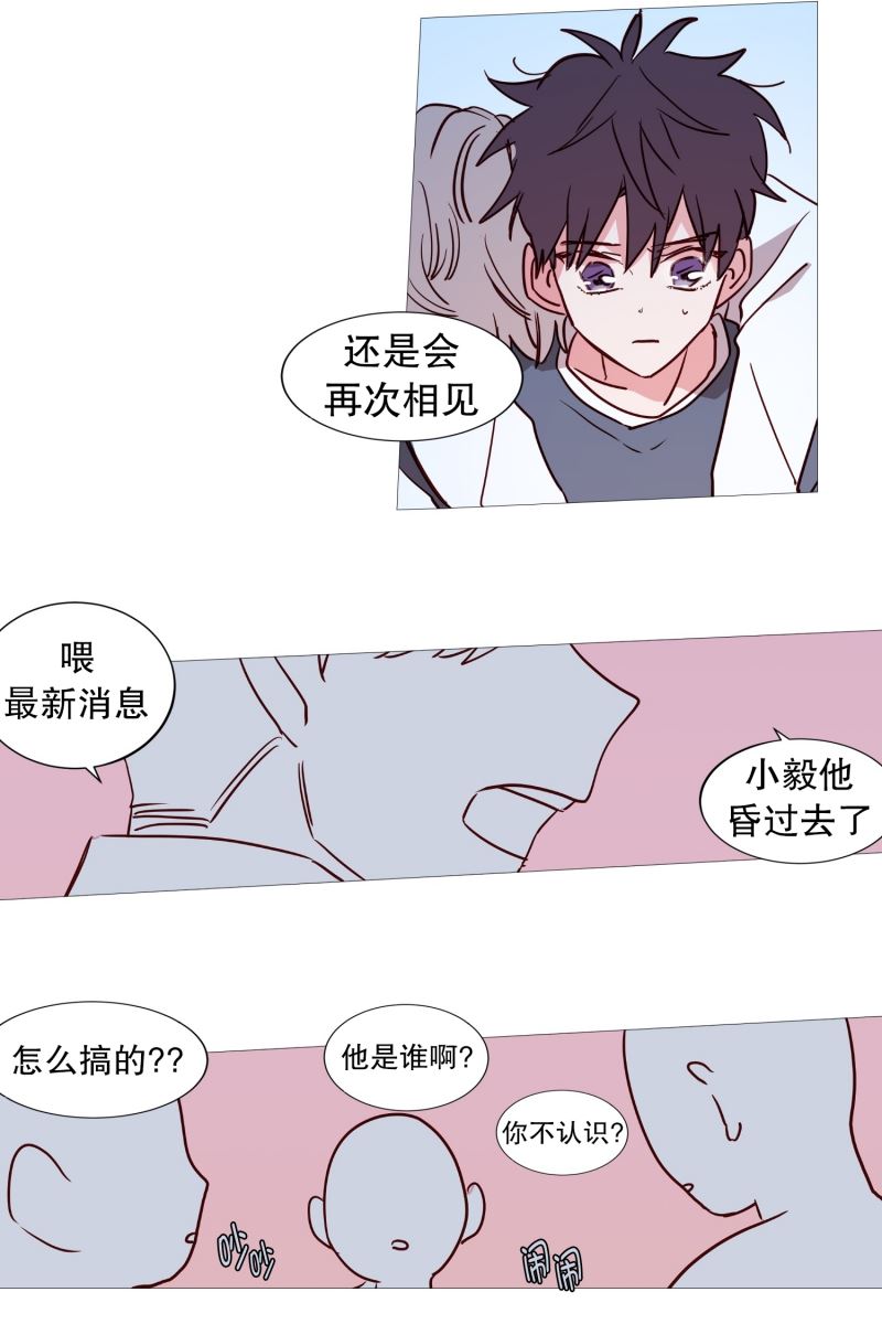 动物灵魂管理局漫画,42.无人伸出的援手15图