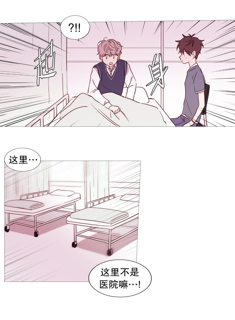 动物灵魂管理局漫画,43.喜欢你14图