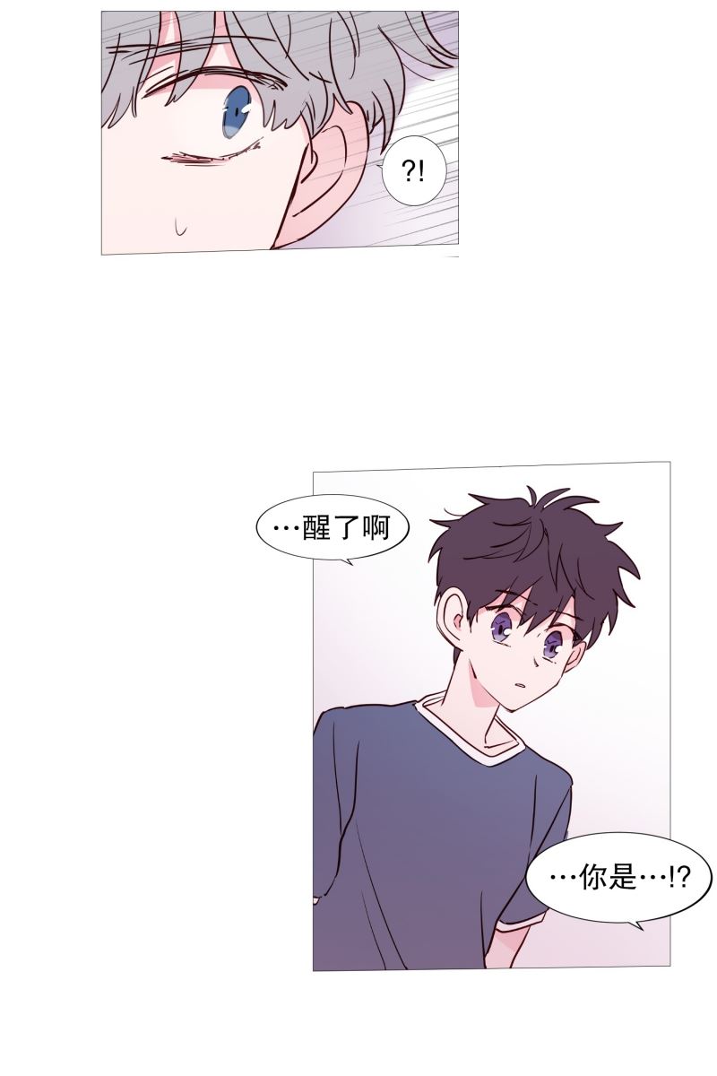 动物灵魂管理局漫画,43.喜欢你13图