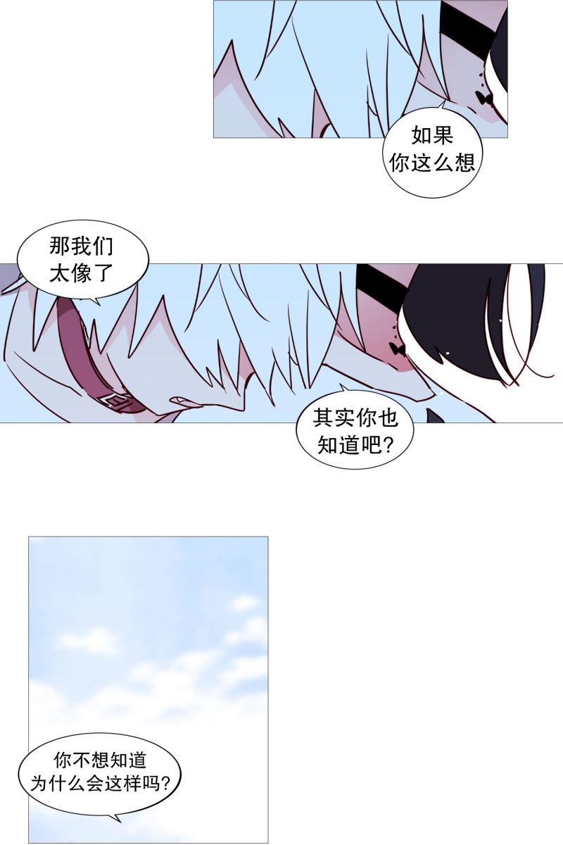 动物灵魂管理局漫画,43.喜欢你5图