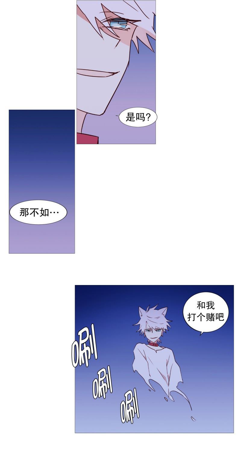 动物灵魂管理局漫画,47.打赌22图