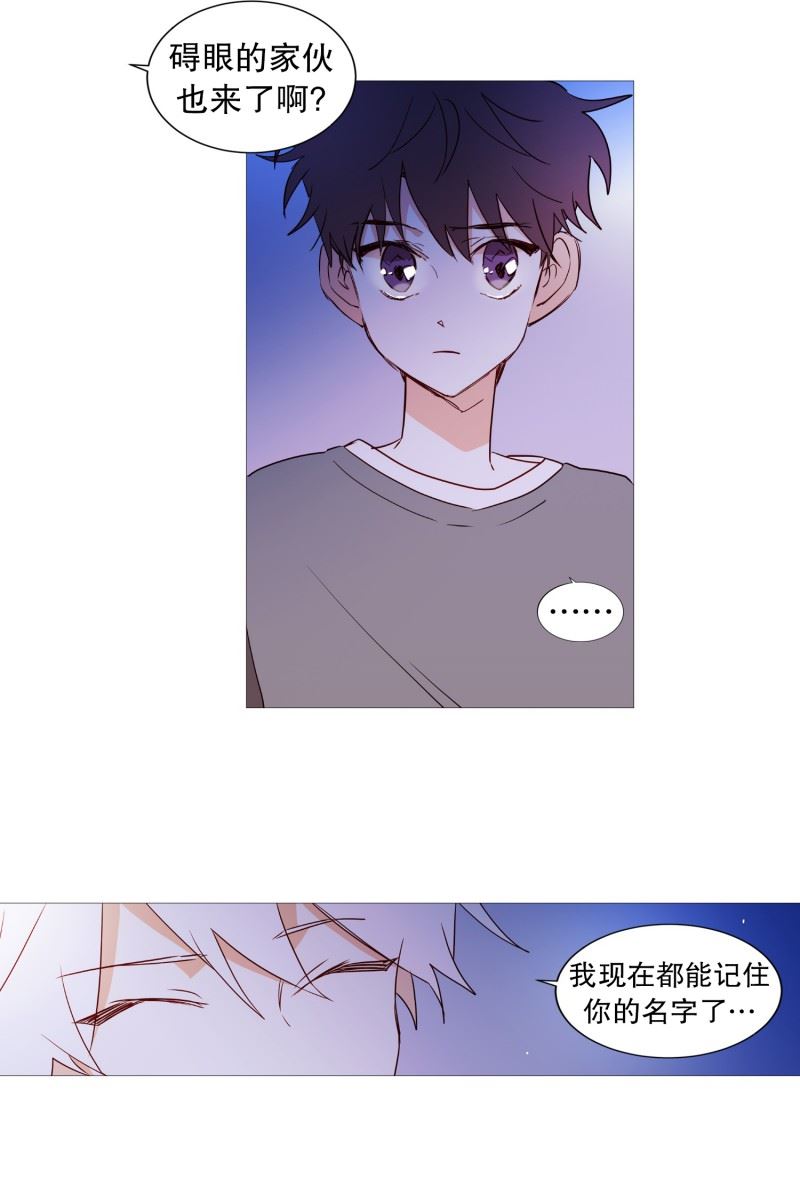 动物灵魂管理局漫画,47.打赌16图