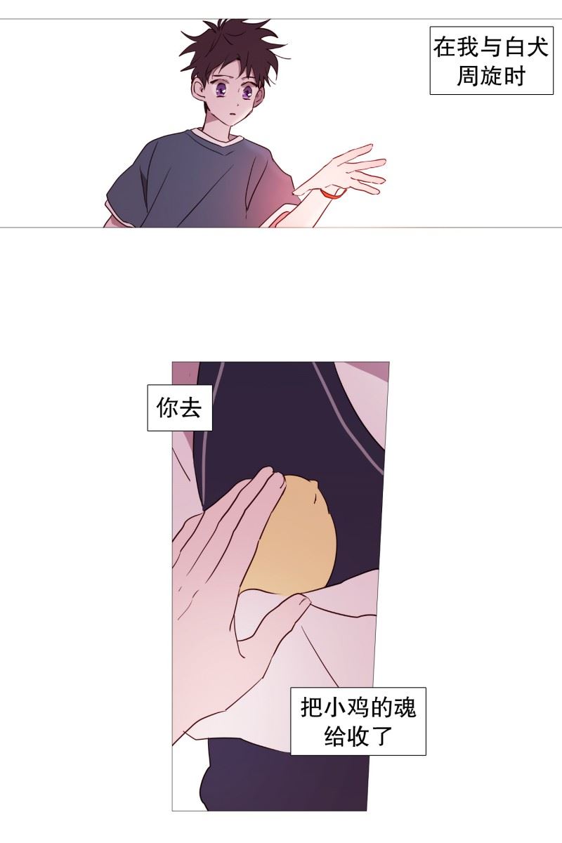 动物灵魂管理局漫画,53.小毅与小鸡16图