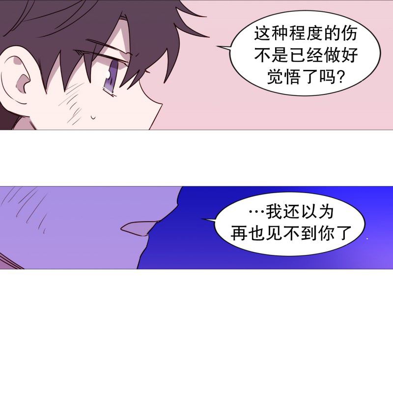 动物灵魂管理局漫画,63.彼此的问候16图