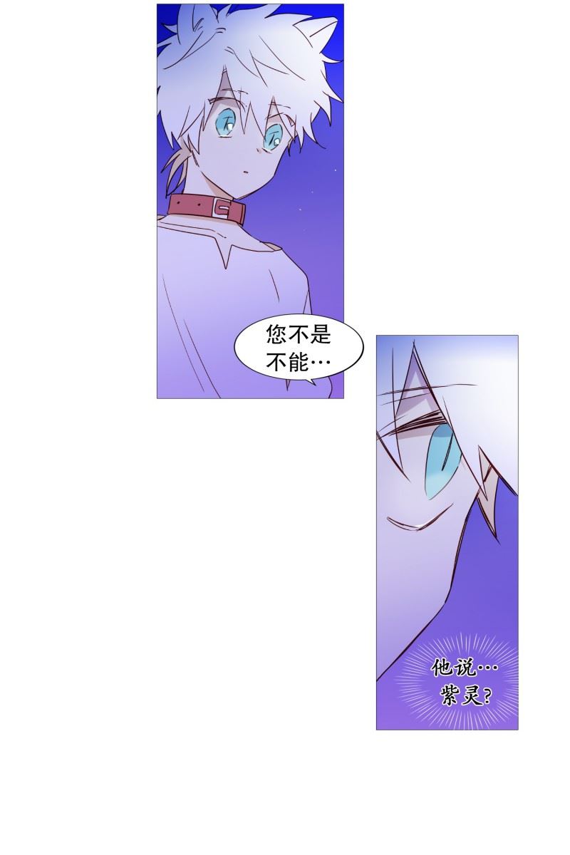 动物灵魂管理局漫画,63.彼此的问候3图