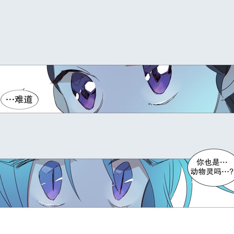 动物灵魂管理局漫画,70.霖雨14图