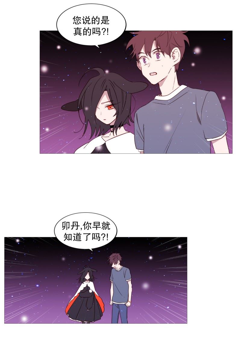 动物管理局的简介漫画,78.诅咒17图