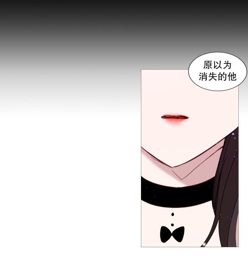 动物管理局的简介漫画,78.诅咒12图