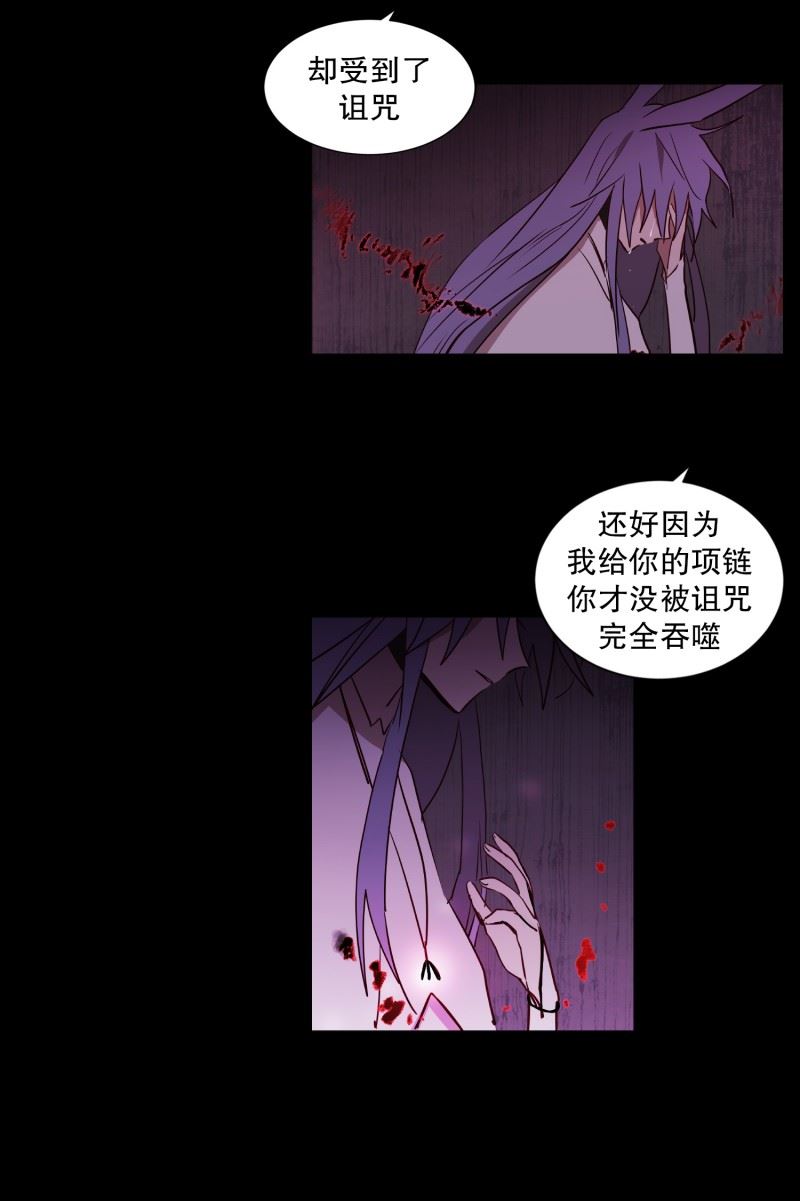 动物管理局的简介漫画,78.诅咒4图