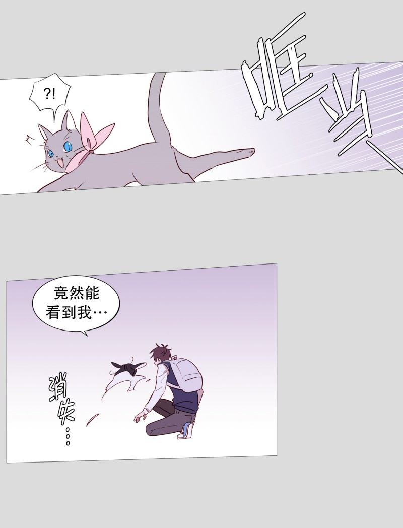 动物管理局的简介漫画,83.无19图