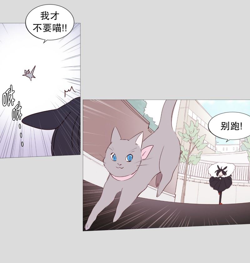 动物管理局的简介漫画,83.无18图