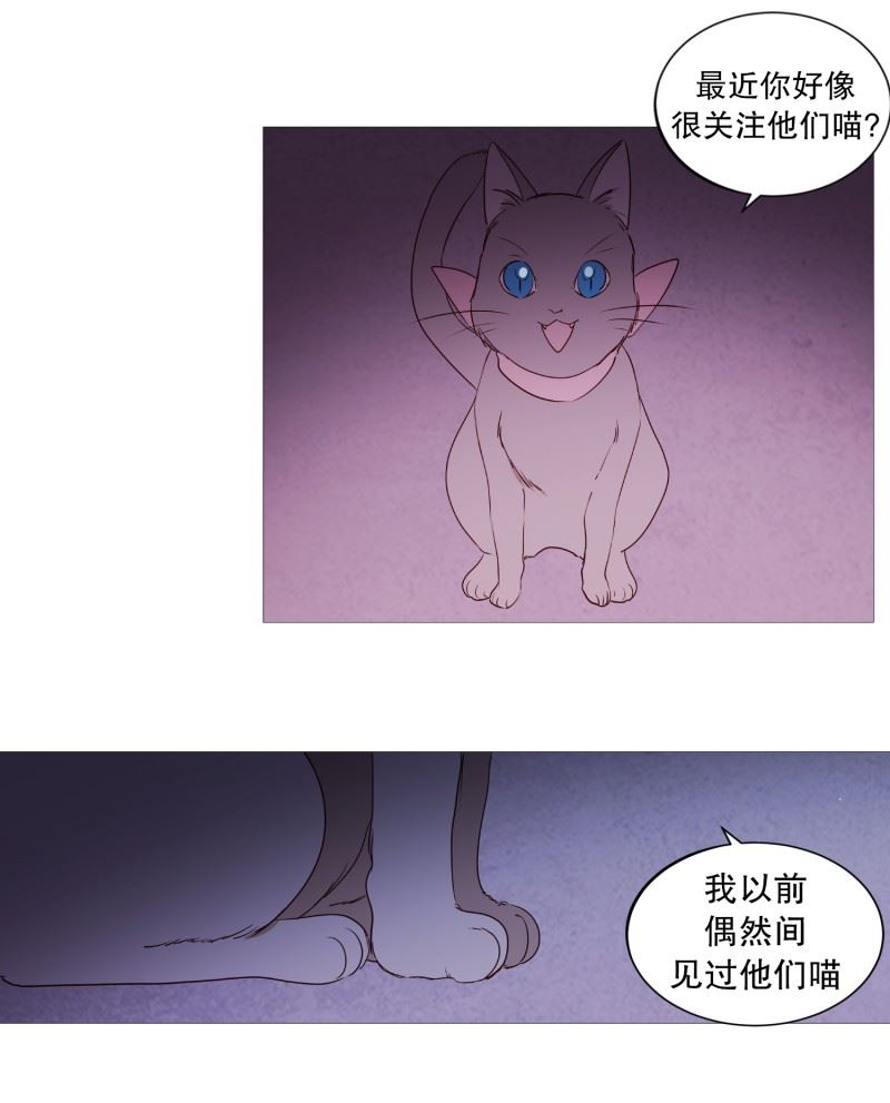 动物管理局的简介漫画,83.无14图